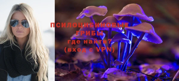 mix Новозыбков