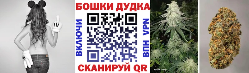 Каннабис индика Анива